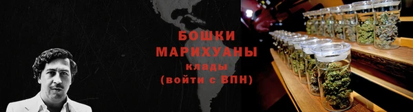 шишки Алексеевка