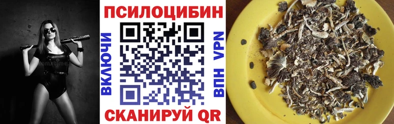 Галлюциногенные грибы GOLDEN TEACHER  блэк спрут как войти  Краснотурьинск 