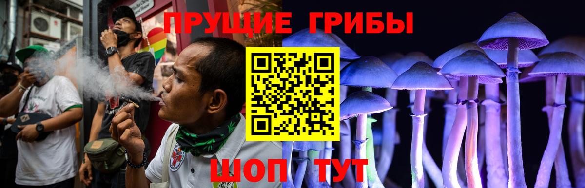 Псилоцибиновые грибы ЛСД  Вход с VPN  Псилоцибиновые грибы мухоморы  Краснотурьинск 